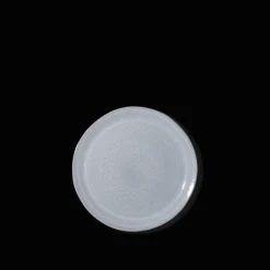 1294 VASICOL Assiettes Plates-Assiette plate en faïence - Bleu Clair