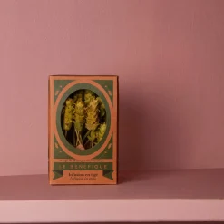 2972 LE BENEFIQUE Thés & Infusions|Thés & Infusions-Assortiment 20 tiges infusion Sultan - Sauge - Le Bénéfique