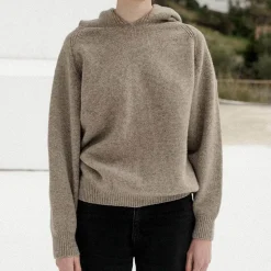 Femme BASERANGE Mailles-- Pull soar - Marron Taupe