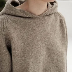 Femme BASERANGE Mailles-- Pull soar - Marron Taupe