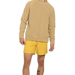 Homme BATHER Maillots De Bain-- Maillot de bain uni - Clémentine