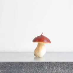 1352 CERERIA INTRONA SRL Bougies & Parfums D'intérieur|Maison De Campagne-Bougie - Champignon