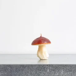 1352 CERERIA INTRONA SRL Bougies & Parfums D'intérieur|Maison De Campagne-Bougie - Champignon