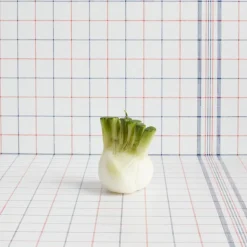 1352 CERERIA INTRONA SRL Bougies & Parfums D'intérieur-Bougie - Fenouil