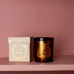 241 SAS CIR Bougies & Parfums D'intérieur-Bougie parfumée Trudon 270 g - Cire