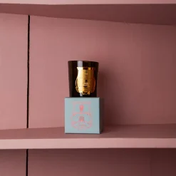 241 SAS CIR Bougies & Parfums D'intérieur-Bougie parfumée Trudon 270g - Dada