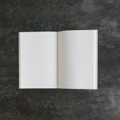 2253 DAVID SHRIGLEY Écriture-Carnet - All Your Stupid Ideas