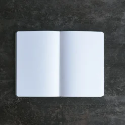 1239 NUUNA Écriture-Carnet - Surface Transcendence