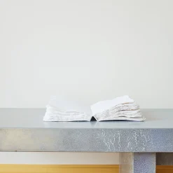 1683 LAMALI Écriture-Carnet liasse - Blanc