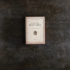 656 SLOW Écriture-Carnet Madame Bovary