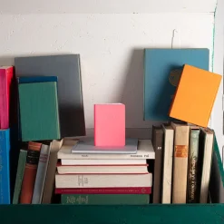 2962 BRANDBOOK Écriture-Carnet Merci - Fluo Rose