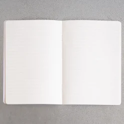 2962 BRANDBOOK Écriture-Carnet Merci - Rayures Bleu Tyrrhénien et Rouge