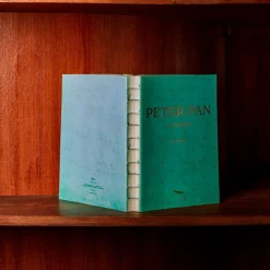 656 SLOW Écriture-Carnet Peter Pan