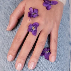 546 MANUCURIST Soins Des Mains|Soins Du Corps-Coffret Green Flash Hortencia 24W - Manucurist