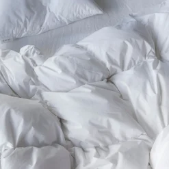 2045 COUETTEX Maison De Campagne-Couette en duvet naturel et plumettes - Blanc