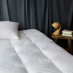 2045 COUETTEX Maison De Campagne-Couette en duvet naturel et plumettes - Blanc