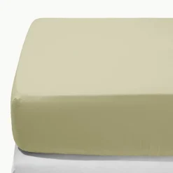 1700 COTEX Draps Housse-Drap-housse en percale de coton - Vert Sauge