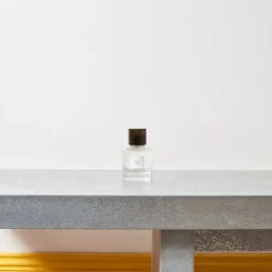 241 SAS CIR Parfums-Eau de parfum Vixi - 100 ml - Trudon