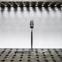 541 CUTIPOL Fourchettes-Fourchette Goa en acier inoxydable et résine