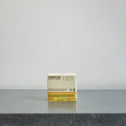 Enfant 1499 CANDYLAB L'univers Enfant|Jeux-Jouet en bois - Yellow Macaron Van