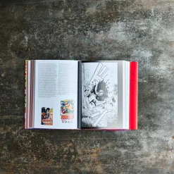 1305 TASCHEN Livres-Livre - 100 Mangas Artists