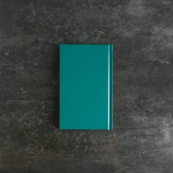 2237 FRANCOIS PROST Livres|L'esprit Merci-Livre - After Party