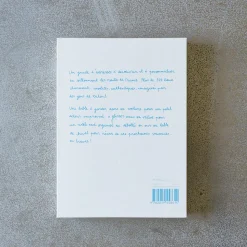 746 HACHETTE EDITIONS Livres-Livre - Carnet du Voyageur France