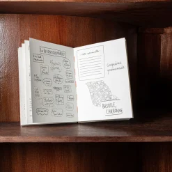 746 HACHETTE EDITIONS Livres-Livre - Carnet du voyageur Paris