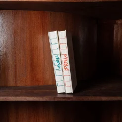 746 HACHETTE EDITIONS Livres-Livre - Carnet du voyageur Paris