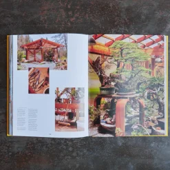 1751 POLLEN DIFFUSION DIFPOP Livres-Livre - Dream Businesses