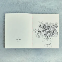 746 HACHETTE EDITIONS Livres|Maison De Campagne-Livre - Fleurs de Zoé de las Cases