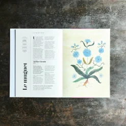 746 HACHETTE EDITIONS Livres-Livre - Flowers