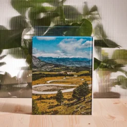 1751 POLLEN DIFFUSION DIFPOP Livres-Livre - Leaving The Comfort Zone