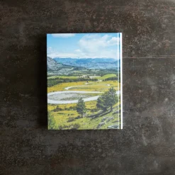 1751 POLLEN DIFFUSION DIFPOP Livres-Livre - Leaving The Comfort Zone