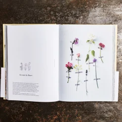 746 HACHETTE EDITIONS Livres-Livre - Les Fleurs de Zoe De Las Cases