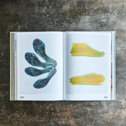 1212 INTERART Livres-Livre - Nike: Form Follows Motion