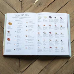 746 HACHETTE EDITIONS Livres-Livre - On va déguster l'Italie