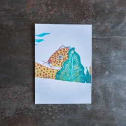 2139 FIRST EDITION Livres-Livre - Puerto Escondido