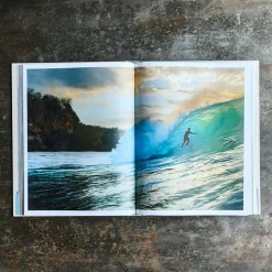 1751 POLLEN DIFFUSION DIFPOP Livres-Livre - SURF