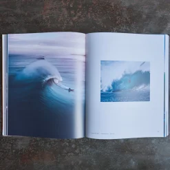 1751 POLLEN DIFFUSION DIFPOP Livres-Livre - Surf Porn