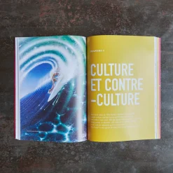 2089 GM EDITIONS Livres-Livre - The Endless Summer