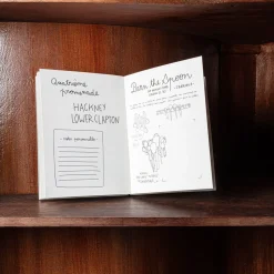 746 HACHETTE EDITIONS Livres-Livret - Carnet du voyageur Londres