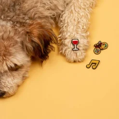 Femme MACON & LESQUOY Pin's|Pin's-Macon & Lesquoy - Broche - Verre de vin rouge