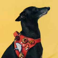 Femme MACON & LESQUOY Pin's|Pin's-Macon & Lesquoy - Broche - Renard