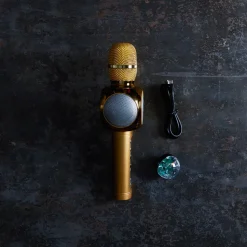 1845 VINYL FACTORY High-tech-Micro Le Big Mike