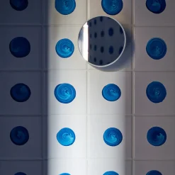 953 CHEVALIER Accessoires De Salle De Bain-Miroir grossissant x10 à ventouse