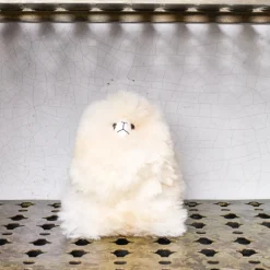 Enfant 1297 INKARI L'univers Enfant-Peluche Lama en alpaga - Blond