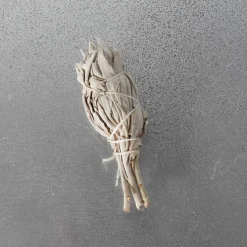 1031 INCAUSA Maison De Campagne|Holistique-Sauge sauvage purifiante