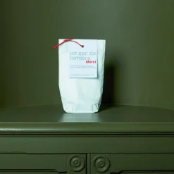 MERCI Guirlandes & Bobines|Maison De Campagne-Set de 4 lanternes en papier - Blanc et argenté