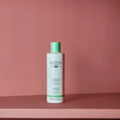 2956 CHRISTOPHE ROBIN Soins Des Cheveux-Shampoing hydratant à l'aloe vera - Christophe Robin - 250ml